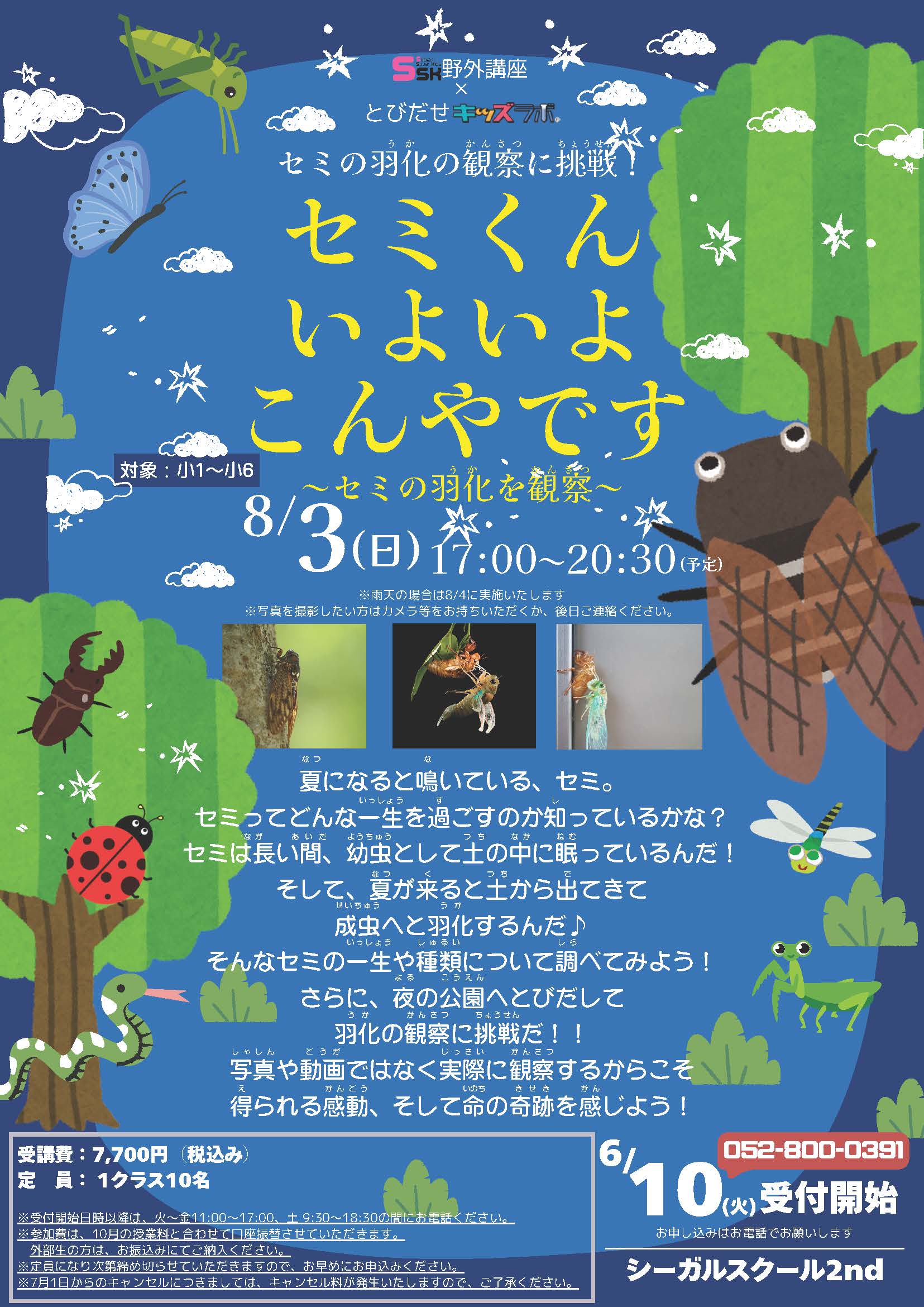 SSK野外講座×とびだせキッズラボ セミくんいよいよこんやです