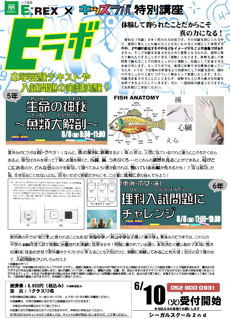 E:REX×シーガルスクール特別講座　理科実験講座Eラボ